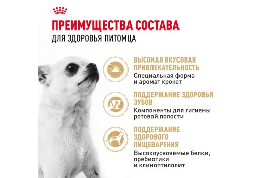 Royal Canin Breed dog Chihuahua Adult / Сухой корм Роял Канин для взрослых собак породы Чихуахуа старше 8 месяцев