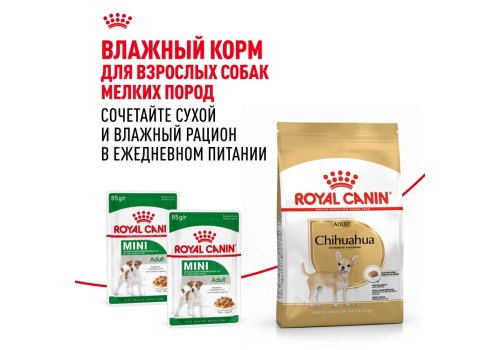 Royal Canin Breed dog Chihuahua Adult / Сухой корм Роял Канин для взрослых собак породы Чихуахуа старше 8 месяцев