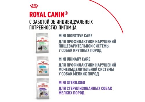 Royal Canin Breed dog Chihuahua Adult / Сухой корм Роял Канин для взрослых собак породы Чихуахуа старше 8 месяцев