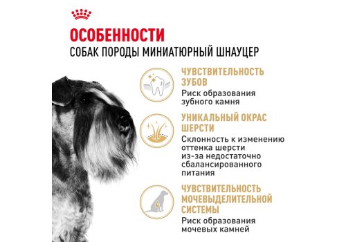 Royal Canin Breed dog Miniature Schnauzer Adult / Сухой корм Роял Канин для взрослых собак породы Миниатюрный Шнауцер старше 10 месяцев