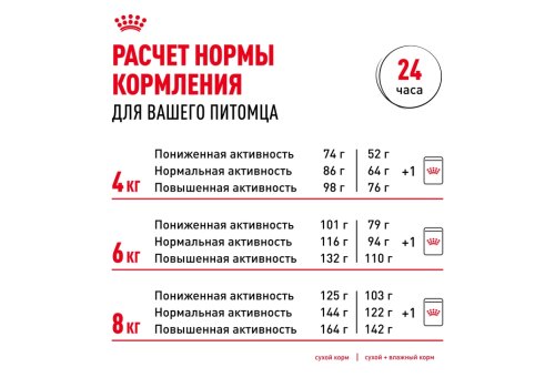 Royal Canin Breed dog Miniature Schnauzer Adult / Сухой корм Роял Канин для взрослых собак породы Миниатюрный Шнауцер старше 10 месяцев
