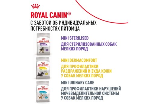 Royal Canin Breed dog Miniature Schnauzer Adult / Сухой корм Роял Канин для взрослых собак породы Миниатюрный Шнауцер старше 10 месяцев