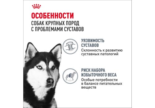 Royal Canin Maxi Joint Care / Сухой корм Роял Канин Макси Джойнт Кэа для взрослых собак Крупных пород помощь Суставам
