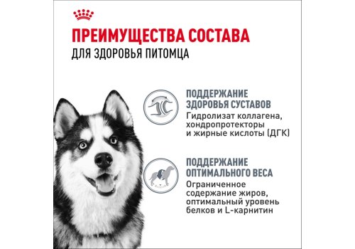 Royal Canin Maxi Joint Care / Сухой корм Роял Канин Макси Джойнт Кэа для взрослых собак Крупных пород помощь Суставам