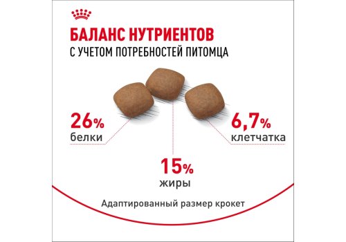 Royal Canin Maxi Joint Care / Сухой корм Роял Канин Макси Джойнт Кэа для взрослых собак Крупных пород помощь Суставам