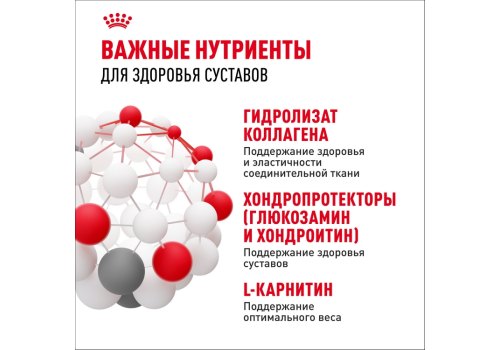 Royal Canin Maxi Joint Care / Сухой корм Роял Канин Макси Джойнт Кэа для взрослых собак Крупных пород помощь Суставам