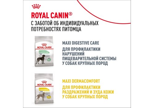 Royal Canin Maxi Joint Care / Сухой корм Роял Канин Макси Джойнт Кэа для взрослых собак Крупных пород помощь Суставам