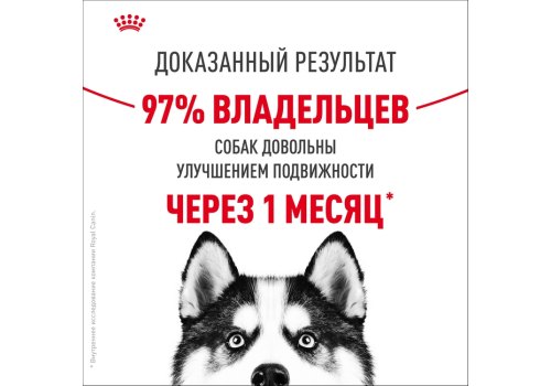 Royal Canin Maxi Joint Care / Сухой корм Роял Канин Макси Джойнт Кэа для взрослых собак Крупных пород помощь Суставам