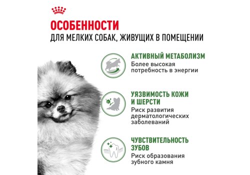 Royal Canin Mini Indoor Adult / Сухой корм Роял Канин Мини Индор Эдалт для Взрослых собак Мелких пород (до 10 кг), живущих в домашних условиях