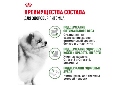 Royal Canin Mini Indoor Adult / Сухой корм Роял Канин Мини Индор Эдалт для Взрослых собак Мелких пород (до 10 кг), живущих в домашних условиях
