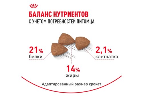 Royal Canin Mini Indoor Adult / Сухой корм Роял Канин Мини Индор Эдалт для Взрослых собак Мелких пород (до 10 кг), живущих в домашних условиях