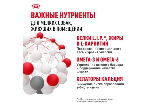 Royal Canin Mini Indoor Adult / Сухой корм Роял Канин Мини Индор Эдалт для Взрослых собак Мелких пород (до 10 кг), живущих в домашних условиях