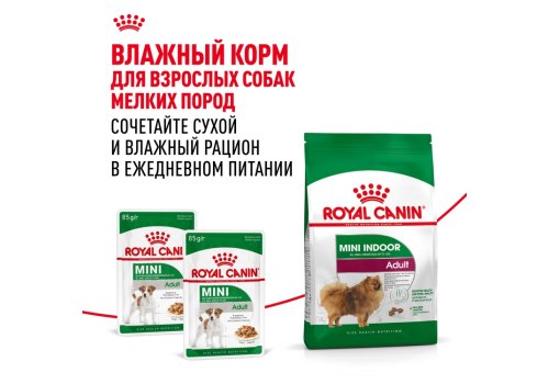 Royal Canin Mini Indoor Adult / Сухой корм Роял Канин Мини Индор Эдалт для Взрослых собак Мелких пород (до 10 кг), живущих в домашних условиях
