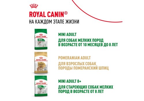 Royal Canin Mini Indoor Adult / Сухой корм Роял Канин Мини Индор Эдалт для Взрослых собак Мелких пород (до 10 кг), живущих в домашних условиях