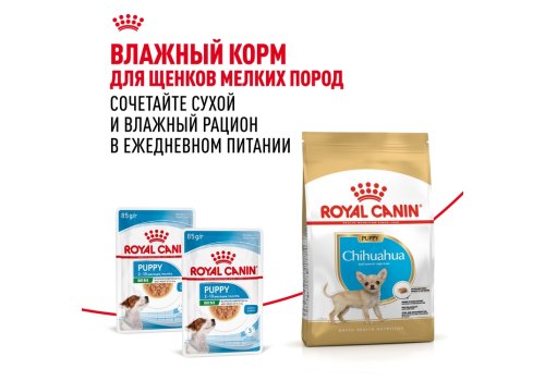 Royal Canin Breed dog Chihuahua Junior / Сухой корм Роял Канин для Щенков породы Чихуахуа в возрасте до 8 месяцев