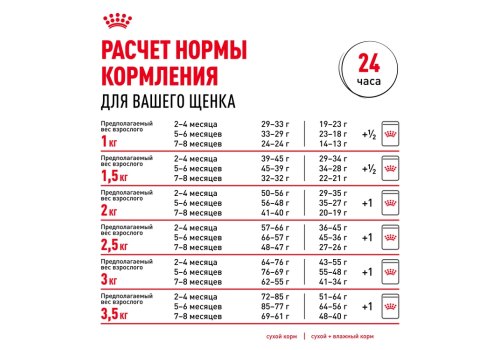 Royal Canin Breed dog Chihuahua Junior / Сухой корм Роял Канин для Щенков породы Чихуахуа в возрасте до 8 месяцев