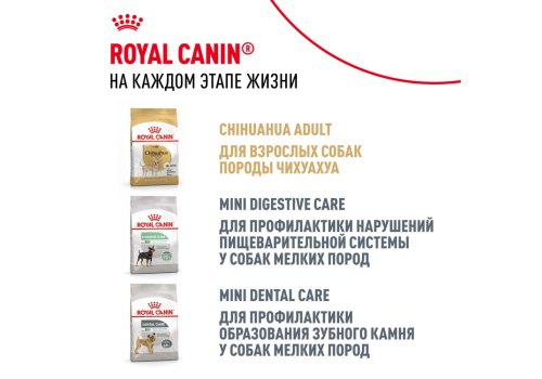 Royal Canin Breed dog Chihuahua Junior / Сухой корм Роял Канин для Щенков породы Чихуахуа в возрасте до 8 месяцев