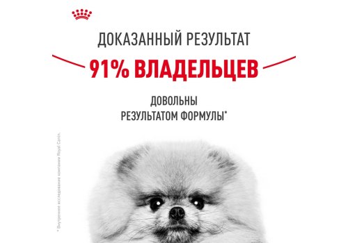 Royal Canin Mini Dermacomfort / Сухой корм Роял Канин Мини Дермакомфорт для собак Мелких пород с Кожным раздражением и зудом
