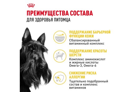 Royal Canin Mini Dermacomfort / Сухой корм Роял Канин Мини Дермакомфорт для собак Мелких пород с Кожным раздражением и зудом