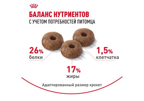 Royal Canin Mini Dermacomfort / Сухой корм Роял Канин Мини Дермакомфорт для собак Мелких пород с Кожным раздражением и зудом
