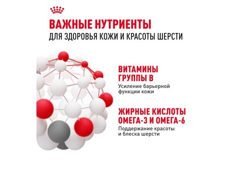 Royal Canin Mini Dermacomfort / Сухой корм Роял Канин Мини Дермакомфорт для собак Мелких пород с Кожным раздражением и зудом