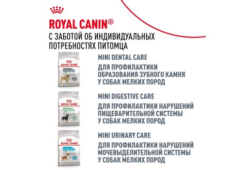 Royal Canin Mini Dermacomfort / Сухой корм Роял Канин Мини Дермакомфорт для собак Мелких пород с Кожным раздражением и зудом