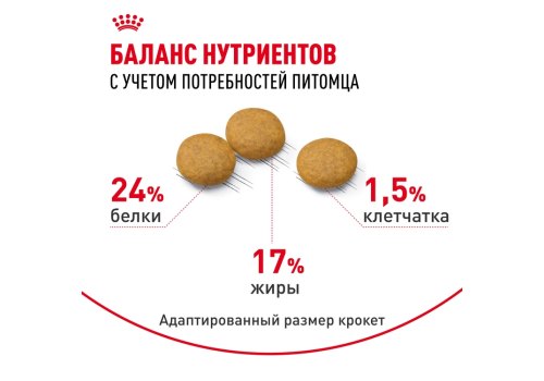 Royal Canin Medium Dermacomfort / Сухой корм Роял Канин Медиум Дермакомфорт для собак Средних пород с Кожным раздражением и зудом