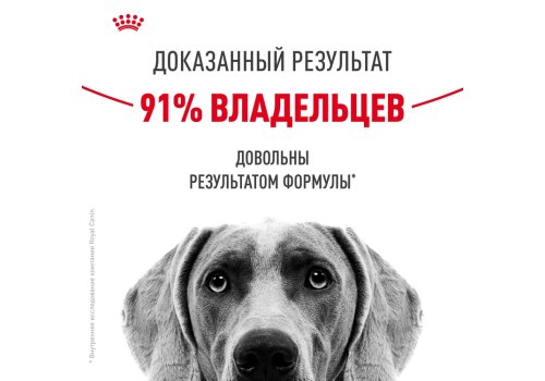 Royal Canin Medium Dermacomfort / Сухой корм Роял Канин Медиум Дермакомфорт для собак Средних пород с Кожным раздражением и зудом