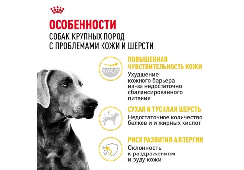 Royal Canin Maxi Dermacomfort / Сухой корм Роял Канин Макси Дермакомфорт для собак Крупных пород с Кожным раздражением и зудом