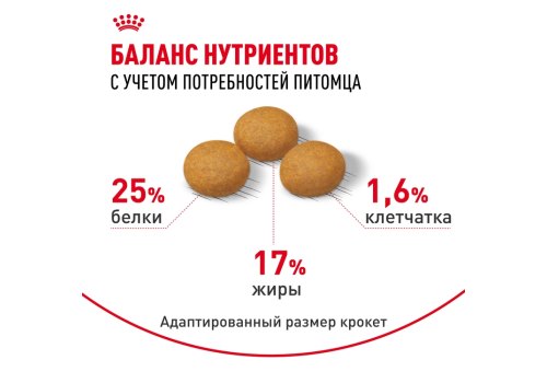 Royal Canin Maxi Dermacomfort / Сухой корм Роял Канин Макси Дермакомфорт для собак Крупных пород с Кожным раздражением и зудом