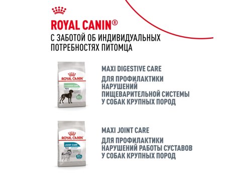 Royal Canin Maxi Dermacomfort / Сухой корм Роял Канин Макси Дермакомфорт для собак Крупных пород с Кожным раздражением и зудом
