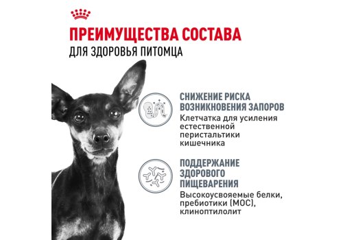 Royal Canin Mini Sensible Digestive Care / Сухой корм Роял Канин Мини Сенсибл для собак Мелких пород с Чувствительным пищеварением