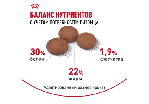 Royal Canin Mini Sensible Digestive Care / Сухой корм Роял Канин Мини Сенсибл для собак Мелких пород с Чувствительным пищеварением