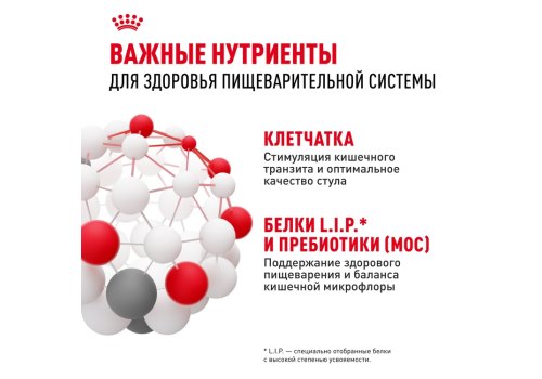 Royal Canin Mini Sensible Digestive Care / Сухой корм Роял Канин Мини Сенсибл для собак Мелких пород с Чувствительным пищеварением