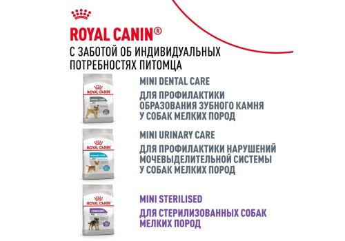 Royal Canin Mini Sensible Digestive Care / Сухой корм Роял Канин Мини Сенсибл для собак Мелких пород с Чувствительным пищеварением