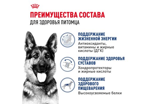 Royal Canin Maxi Ageing 8+ / Сухой корм Роял Канин Макси Эйджинг 8+ для Пожилых собак Крупных пород старше 8 лет