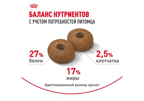 Royal Canin Maxi Ageing 8+ / Сухой корм Роял Канин Макси Эйджинг 8+ для Пожилых собак Крупных пород старше 8 лет