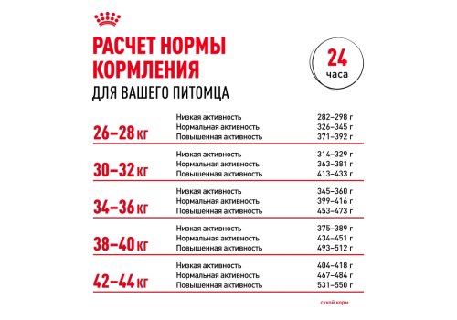 Royal Canin Maxi Ageing 8+ / Сухой корм Роял Канин Макси Эйджинг 8+ для Пожилых собак Крупных пород старше 8 лет