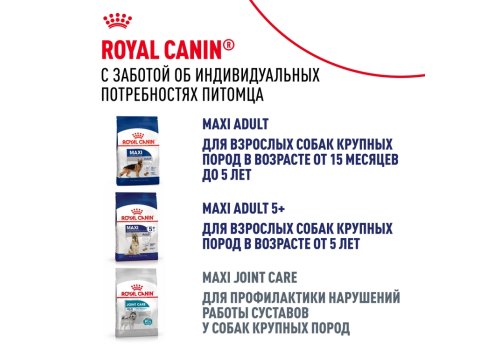 Royal Canin Maxi Ageing 8+ / Сухой корм Роял Канин Макси Эйджинг 8+ для Пожилых собак Крупных пород старше 8 лет