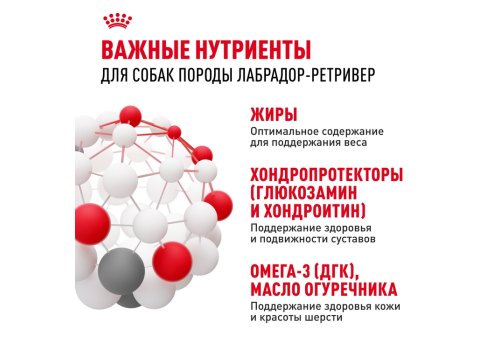 Royal Canin Breed dog Labrador Retriever Adult / Сухой корм Роял Канин для взрослых собак породы Лабрадор старше 15 месяцев