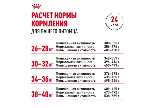 Royal Canin Breed dog Labrador Retriever Adult / Сухой корм Роял Канин для взрослых собак породы Лабрадор старше 15 месяцев