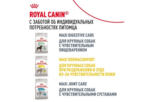 Royal Canin Breed dog Labrador Retriever Adult / Сухой корм Роял Канин для взрослых собак породы Лабрадор старше 15 месяцев