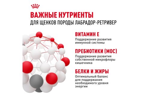 Royal Canin Breed dog Labrador Retriever Puppy / Сухой корм Роял Канин для Щенков породы Лабрадор в возрасте до 15 месяцев