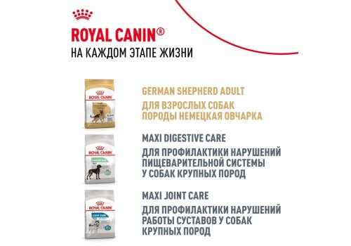 Royal Canin Breed dog Labrador Retriever Puppy / Сухой корм Роял Канин для Щенков породы Лабрадор в возрасте до 15 месяцев
