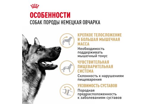 Royal Canin Breed dog German Shepherd Adult / Сухой корм Роял Канин для взрослых собак породы Немецкая Овчарка старше 15 месяцев
