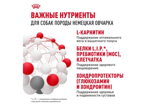 Royal Canin Breed dog German Shepherd Adult / Сухой корм Роял Канин для взрослых собак породы Немецкая Овчарка старше 15 месяцев