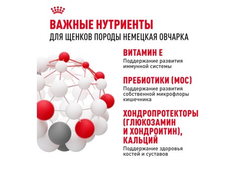 Royal Canin Breed dog German Shepherd Puppy / Сухой корм Роял Канин для Щенков породы Немецкая Овчарка в возрасте до 15 месяцев