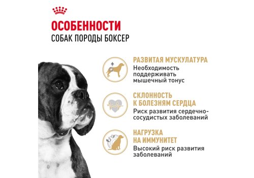 Royal Canin Breed dog Boxer Adult / Сухой корм Роял Канин для взрослых собак породы Боксер старше 15 месяцев