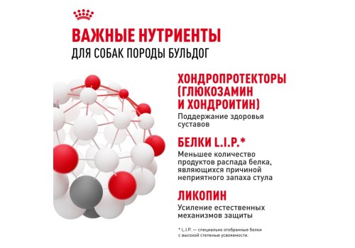 Royal Canin Breed dog Bulldog Adult / Сухой корм Роял Канин для взрослых собак породы Английский Бульдог старше 1 года