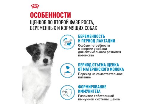 Royal Canin Mini Starter / Сухой корм Роял Канин Мини Стартер для Щенков Мелких пород в возрасте до 2 месяцев